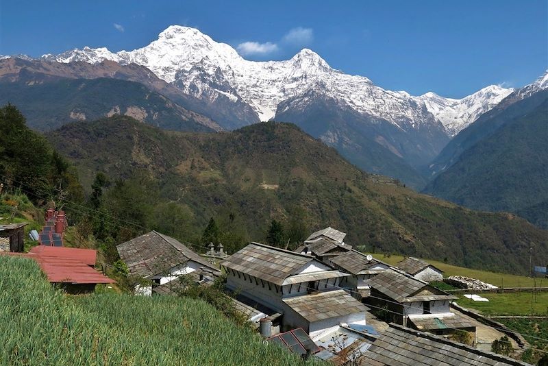 De Pokhara aux balcons des Annapurna