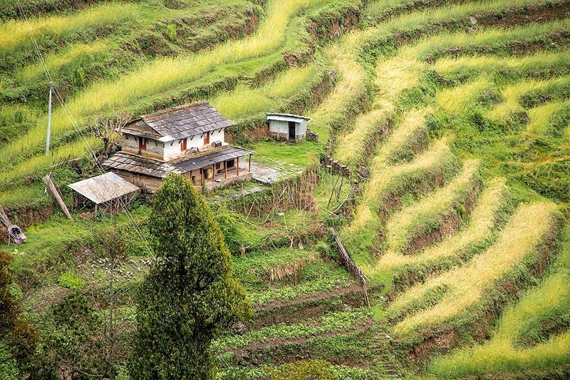 De Pokhara aux balcons des Annapurna