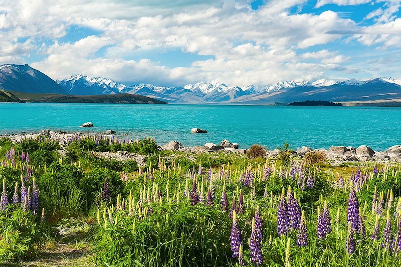 Lac Tekapo - Île du Sud - Nouvelle-Zélande