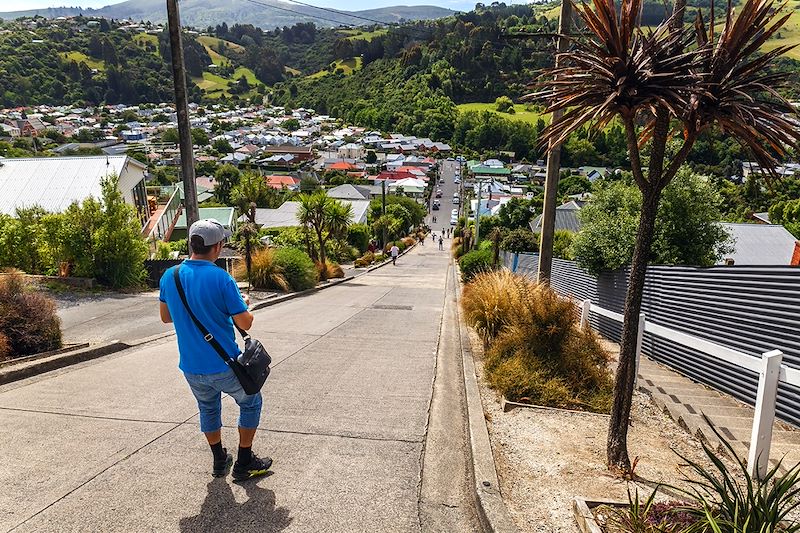 Dunedin - Île du Sud - Nouvelle-Zélande