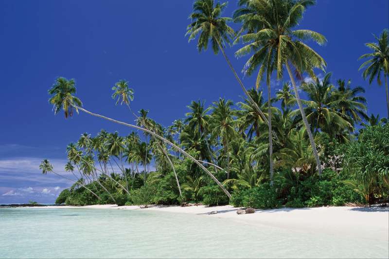 Les îles Samoa, paradis du bout du monde