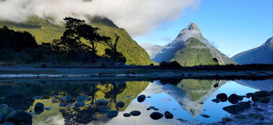 Découverte des plus beaux sites naturels de l'île du Sud : Abel Tasman, Milford Sound, Mont Cook et Lac Tekapo