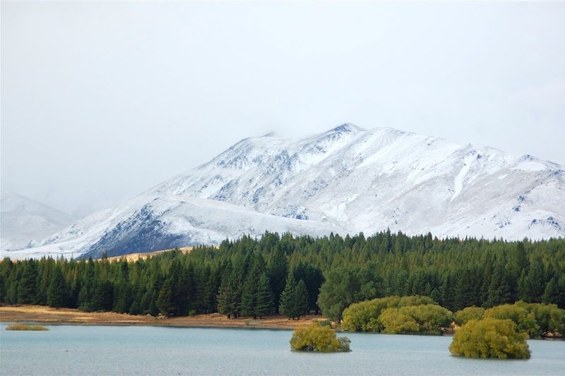 Lake Tekapo - Île du Sud - Nouvelle Zélande