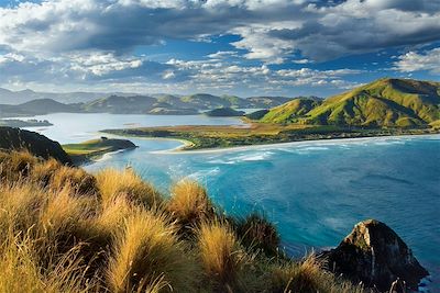 Aotearoa, Splendeurs de la Nouvelle Zélande  3