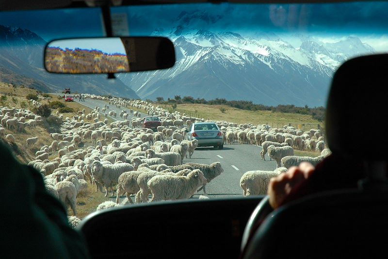 Sur la route - Nouvelle Zélande