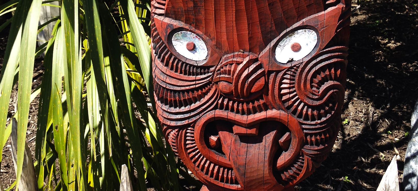 Image Aotearoa, Splendeurs de la Nouvelle Zélande