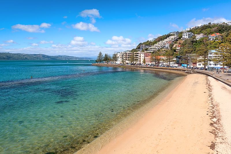 Oriental Bay - Wellington - Nouvelle-Zélande