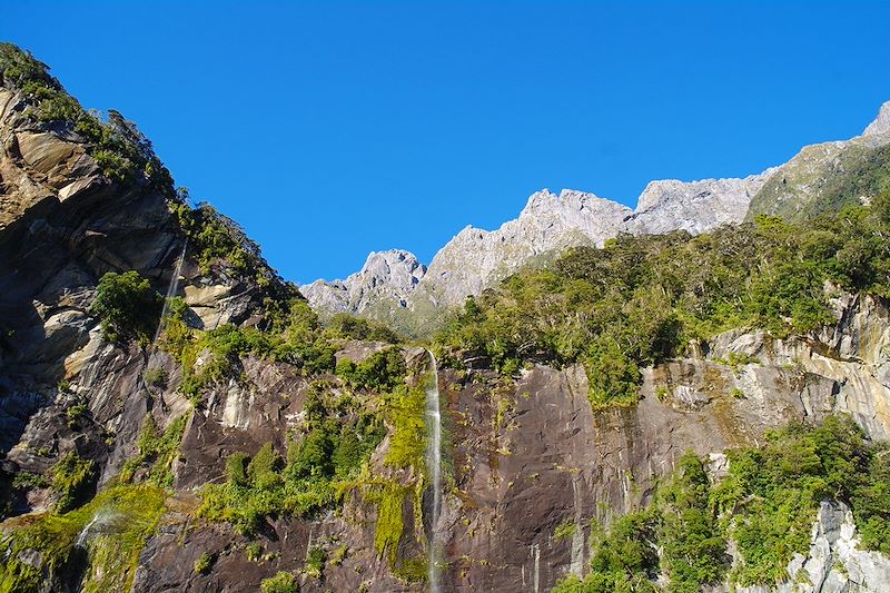 Cascade à Milford Sound - Île du Sud - Nouvelle-Zélande