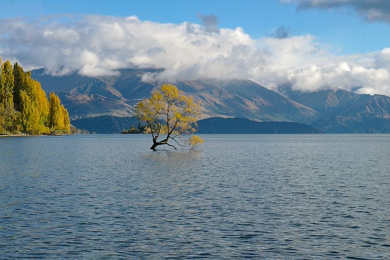 Wanaka - Otago - Île du Sud - Nouvelle-Zélande