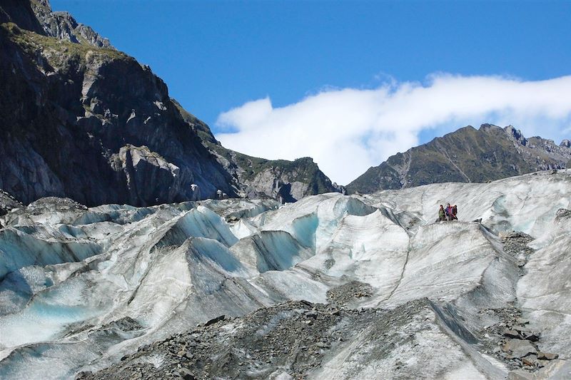 Fox Glacier - Nouvelle Zélande