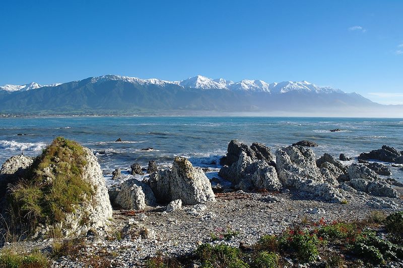 Kaikoura - Nouvelle-Zélande