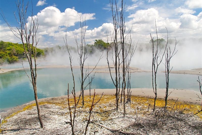 Le parc public Kuirau - Rotorua - Nouvelle Zélande