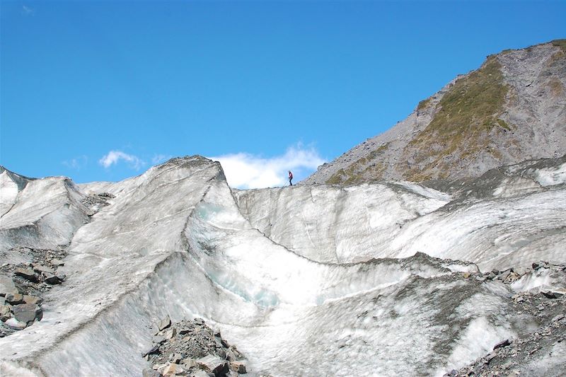 Fox Glacier - Nouvelle Zélande