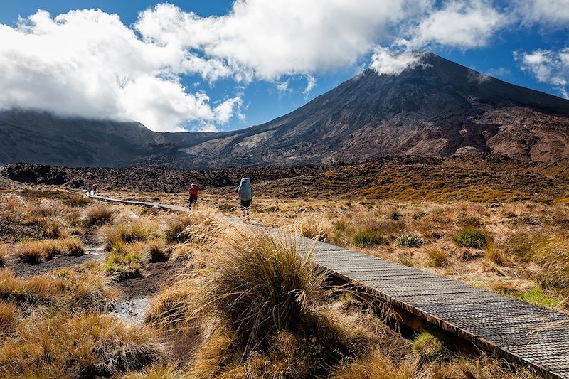 Randonneurs sur le sentier du Tongariro Alpine Crossing - Nouvelle-Zélande