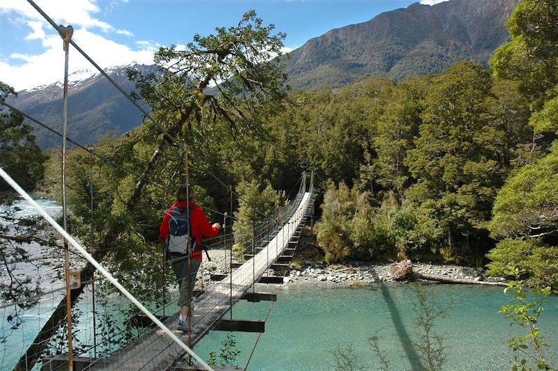 Passerelle au dessus d'une rivière - Blue Pools - Nouvelle Zélande