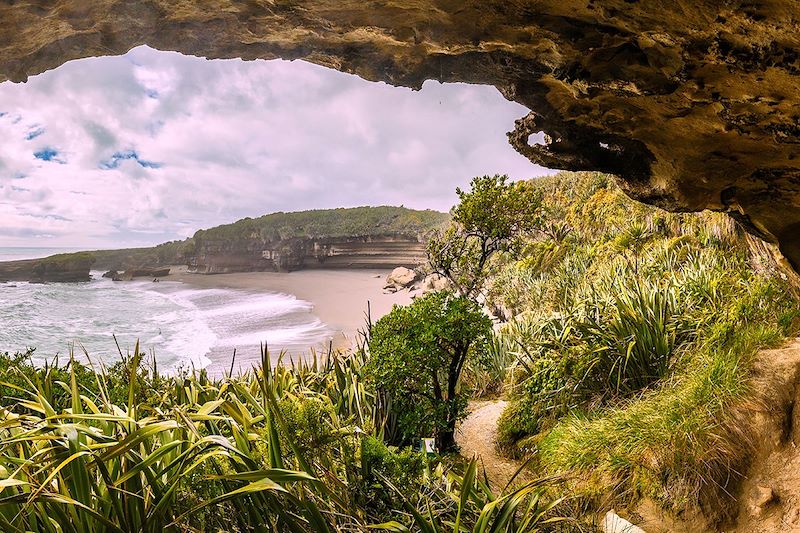 Truman Track - Punakaiki - Nouvelle-Zélande