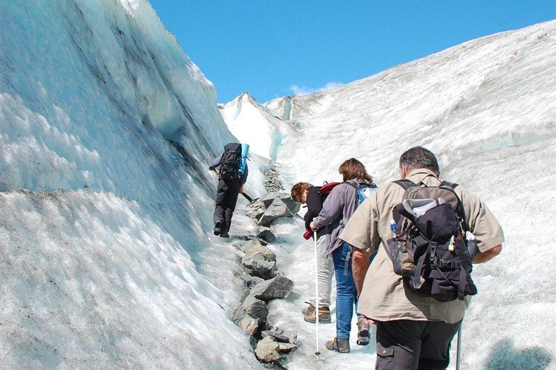 Fox Glacier - Nouvelle Zélande