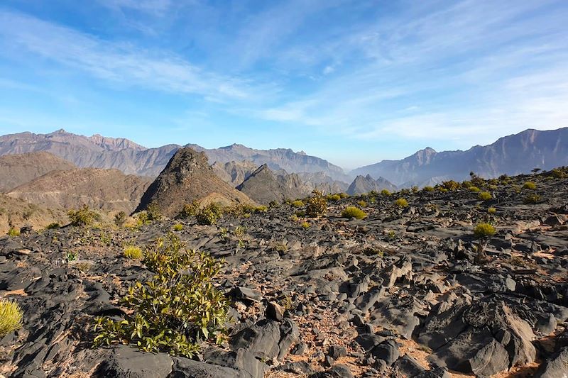 Entre Qiyut et Arrus - Oman