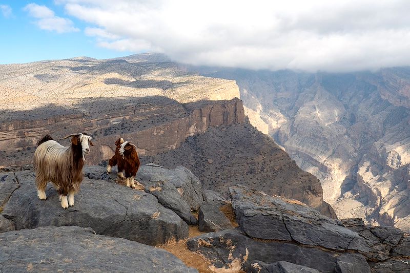 Jebel Shams - Monts Hajar  - Oman