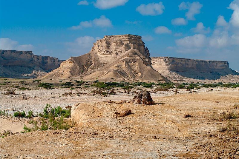 Wadi Shuwaymiyah - Oman