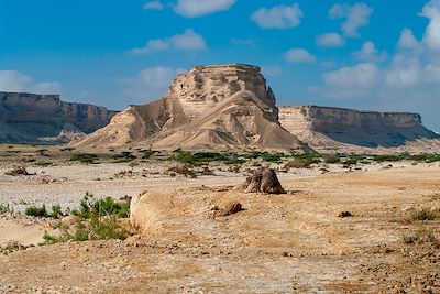 De Mascate à Salalah sur la route de l'encens 2