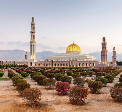 Circuits en petit groupe Oman