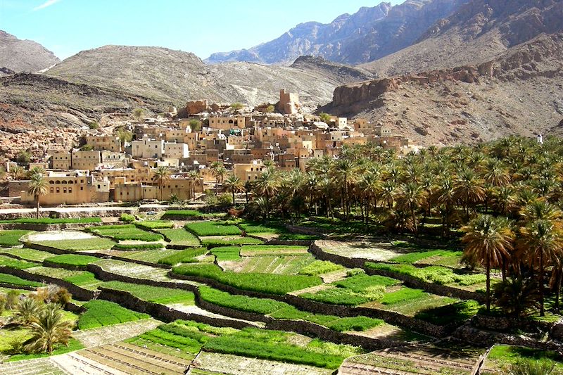 Village de Bilad Sayt, au fond du Wadi Bani Awf - Oman