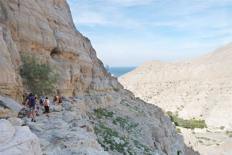 Comme un boutre en train dans les fjords d'Arabie!