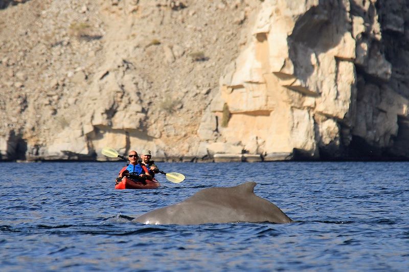 Kayak au Musandam - Oman