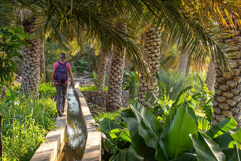 Falaj au village de Misfat Al Abriyeen - Gouvernorat de Ad-Dakhiliyah - Oman