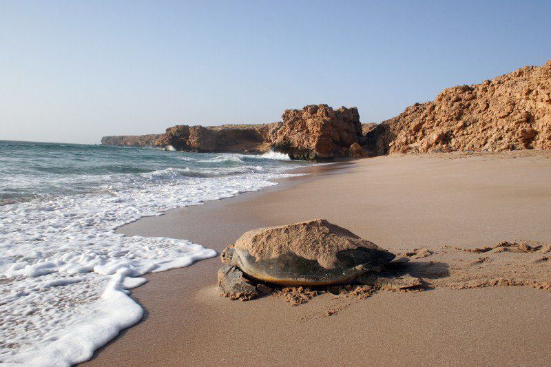 Voyage du Sultanat d'Oman à l’Émirat de Dubaï