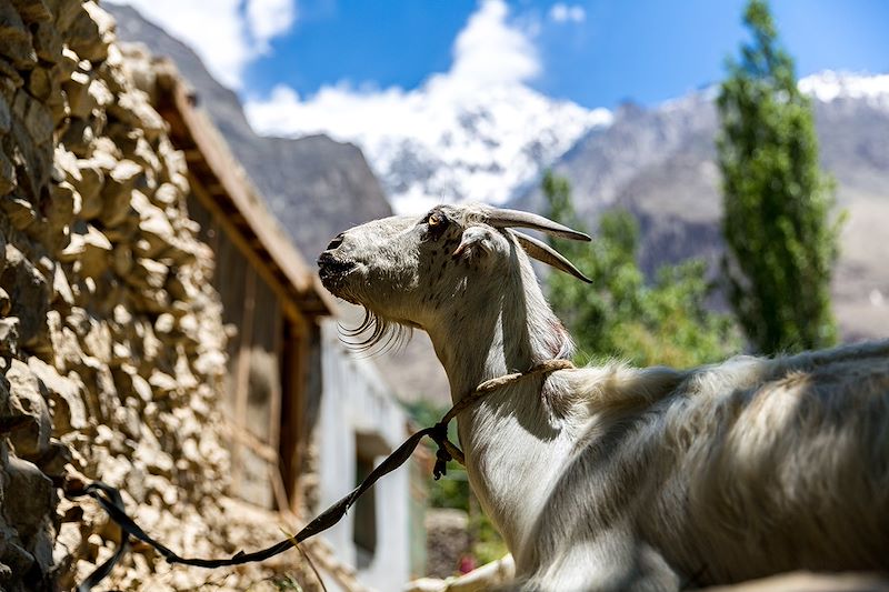 De Lahore à la vallée de l'Indus