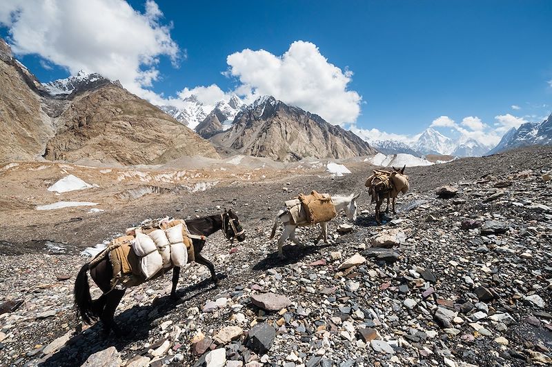 De Lahore à la vallée de l'Indus