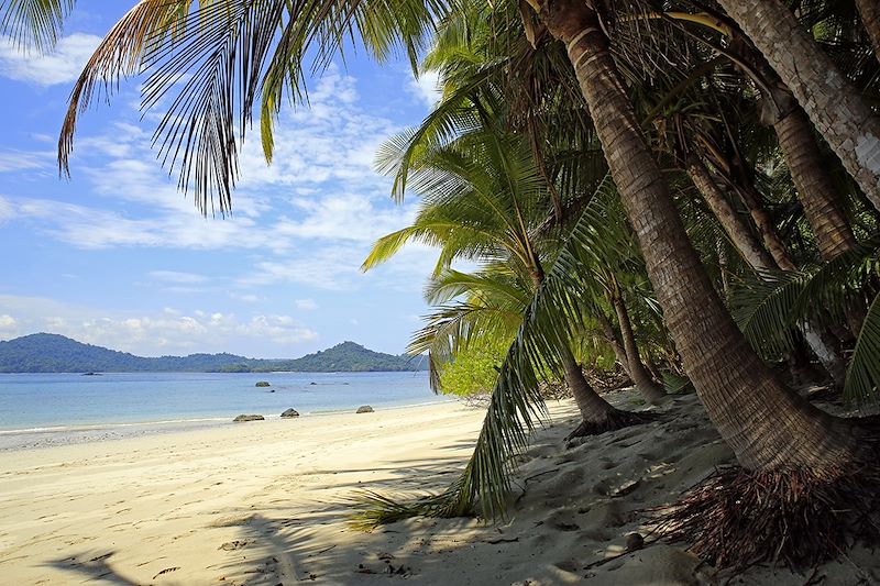 Île de Coibita - Panama