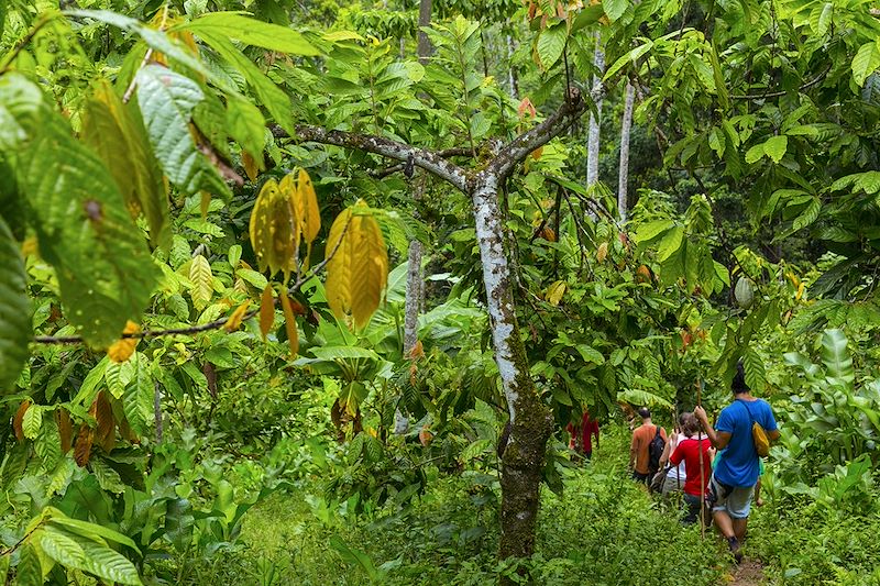 Randonnée dans le Ngöbe Buglé - Panama