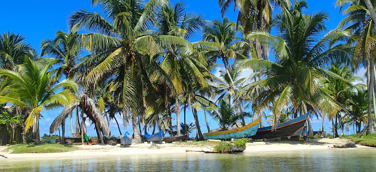 Image La jungle, la mer & les indiens