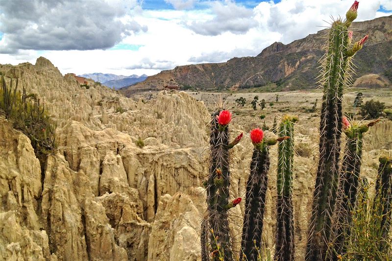 Valle de la Luna - Département de La Paz - Bolivie