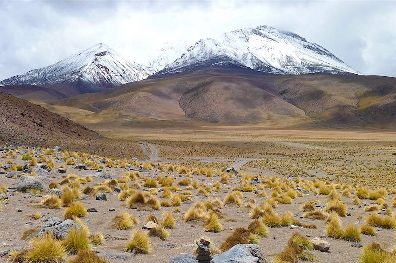 Montagnes aux alentours de la Laguna Cañapa - Département de Potosí - Bolivie