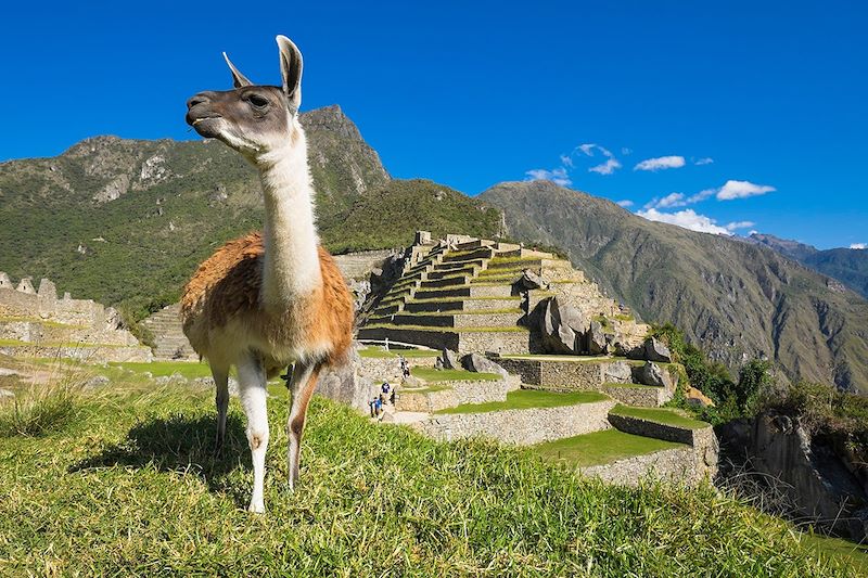 Au Machu Picchu - Pérou