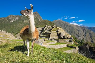 L'odyssée des Andes, version rando ! 2