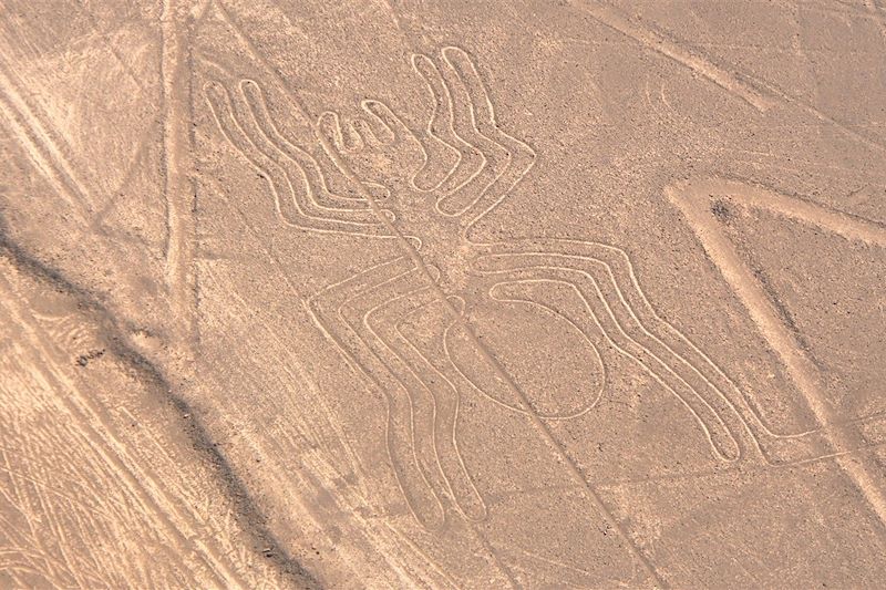 Pétroglyphe - Nazca - Pérou