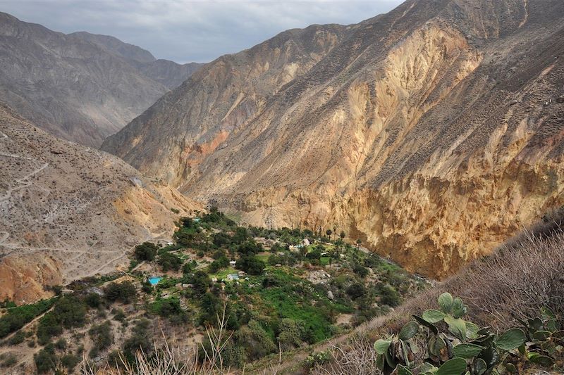 Canyon du Colca - Arequipa - Pérou