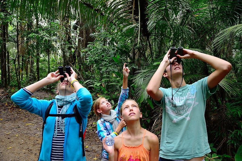 Observation de la faune en Amazonie - Pérou