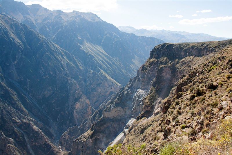 Cruz del Condor - Province d'Arequipa - Pérou