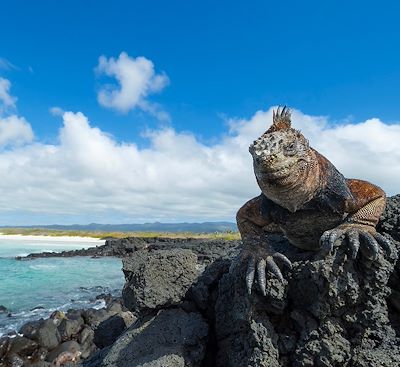 Circuits en petit groupe Pérou