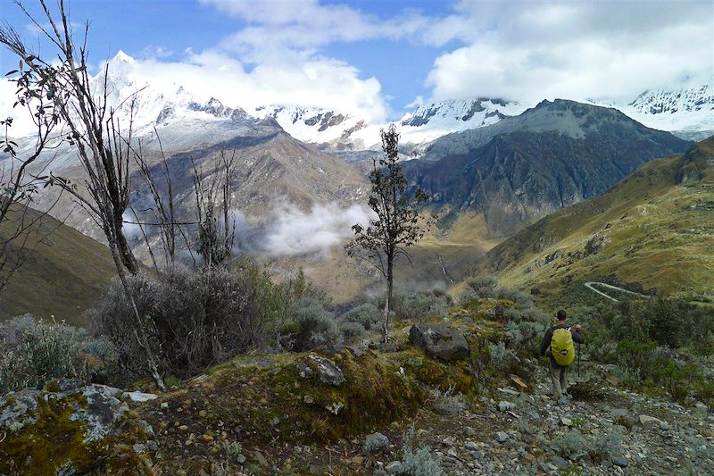 Randonneur dans la Cordillère Blanche - Parc national de Huascarán - Région d'Ancash - Pérou