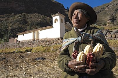 voyage Sur les Chemins de l'Inca