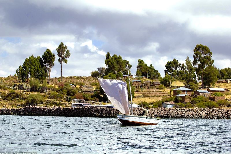 Voilier près de Llachon - Capachica sur le Lac Titicaca - Pérou