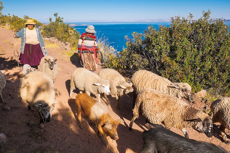 Bergères au village de Llachon - Lac Titicaca - Pérou