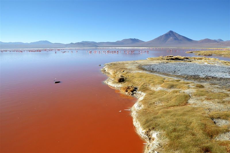 Laguna Colorada - Sud Lipez - Bolivie